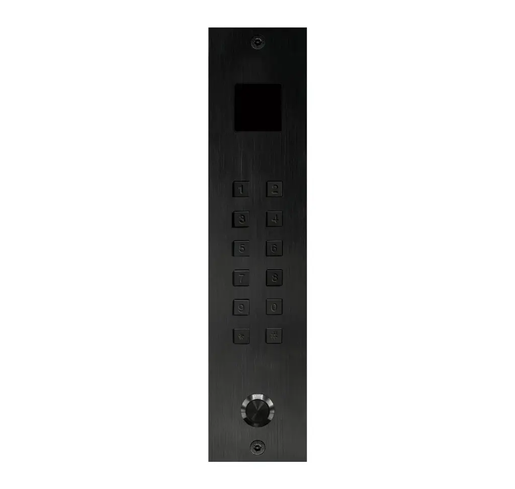 Access keypad Alu black stand alone 2 relays + wiegand+ Proxi+ bell button flush-mounted 55x239x25mm