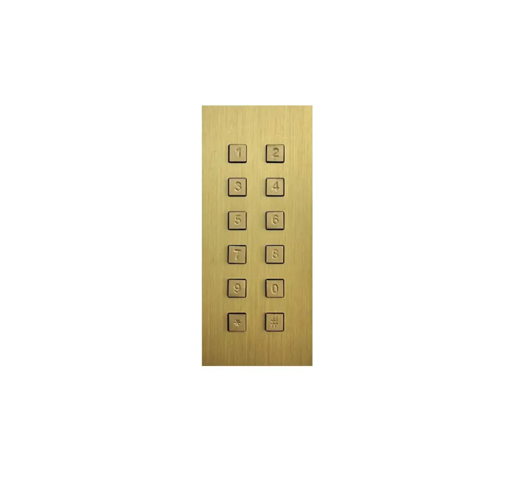 Clavier d'accès bronze or autonome 2 relais + Wiegand montage en saillie 51x136x25mm