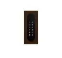 Acces keypad/Badge reader/Bluetooth/NFC: 1 relay, Wiegand and Cloud.  Bronze rustic, flush mounted, 62x188x30 mm