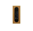 Acces keypad/Badge reader/Bluetooth/NFC: 1 relay, Wiegand and Cloud.  Bronze gold, flush mounted, 62x188x30 mm