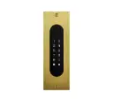 Codeklavier/Badgelezer/Bluetooth/NFC: 1 relais, Wiegand en Cloud.  Bronze goud, inbouw, 62x188x30 mm