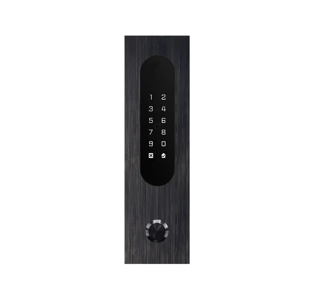 Clavier d'accès/Lecteur badge/Bluetooth/NFC: 1 relais, Wiegand, bouton d'appel et Cloud.  Alu noir, encastré, 62x211x30 mm