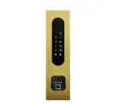Acces keypad/Badge reader/Bluetooth/NFC: 1 relay, Wiegand and Cloud.  Bronze gold, flush mounted, with Ekey recess 77x257x30 mm