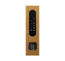 Acces keypad/Badge reader/Bluetooth/NFC: 1 relay, Wiegand and Cloud.  Bronze gold, flush mounted, with Ekey recess 77x257x30 mm