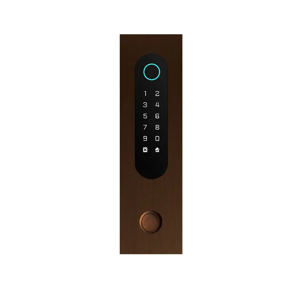 Clavier d'accès/Lecteur badge/Bluetooth/NFC/Lecteur QR: 1 relais, Wiegand, bouton d'appel et Cloud.  Bronze rustique, encastré, 62x211x30 mm