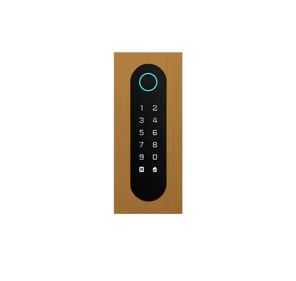 Codeklavier/Badgelezer/Bluetooth/NFC, QR lezer: 1 relais, Wiegand en Cloud.  Bronze goud inbouw, 