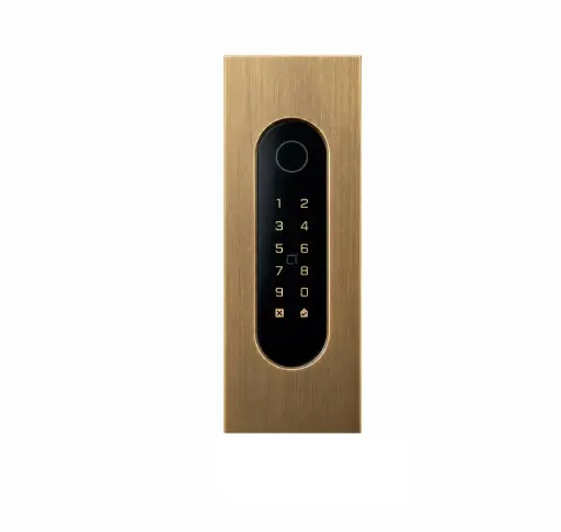 [FTBR26KF] Codeklavier/Badgelezer/Bluetooth/NFC: 1 relais, Wiegand en Cloud.  Bronze rustiek inbouw, 62x188x30 mm