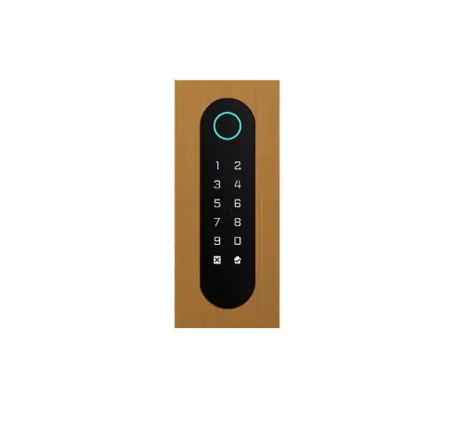 [FTBG26KF-QR] Codeklavier/Badgelezer/Bluetooth/NFC/QR lezer: 1 relais, Wiegand en Cloud.  Bronze goud, inbouw, 62x188x30 mm